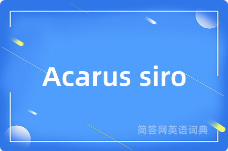 Acarus siro