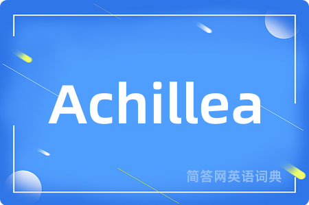Achillea