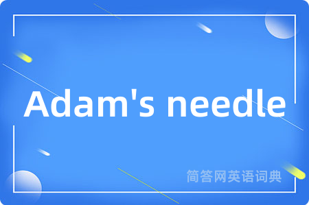 Adam's needle