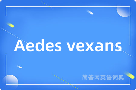 Aedes vexans