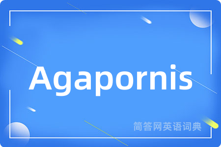 Agapornis