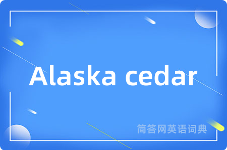Alaska cedar