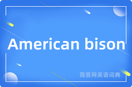 American bison