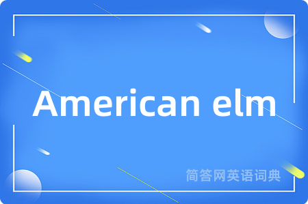 American elm