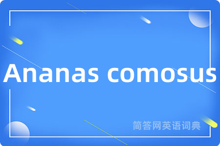 Ananas comosus