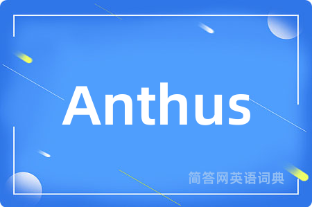 Anthus