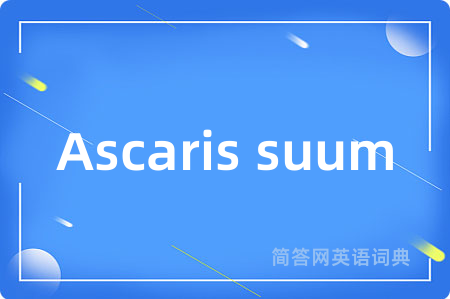 Ascaris suum