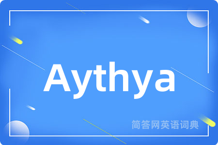 Aythya