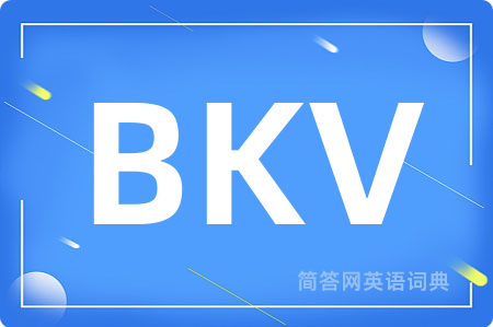 BKV是什么意思,BKV的中文翻译 BKV