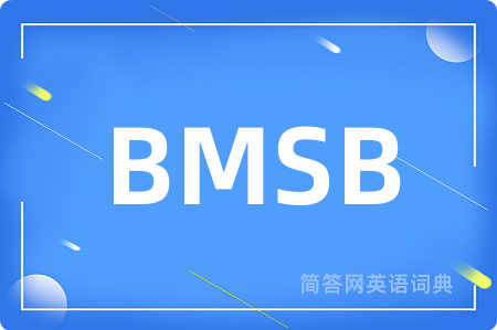 BMSB是什么意思,BMSB的中文翻译 BMSB