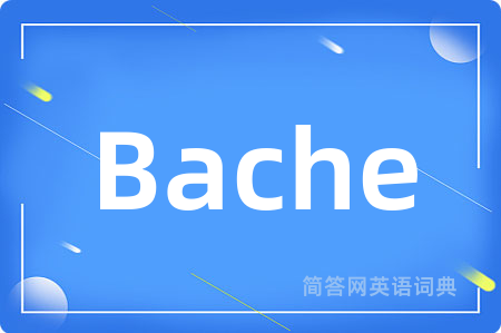 Bache是什么意思,Bache的中文翻译 Bache