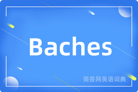 Baches