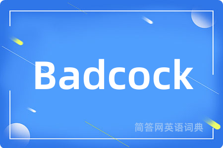 Badcock