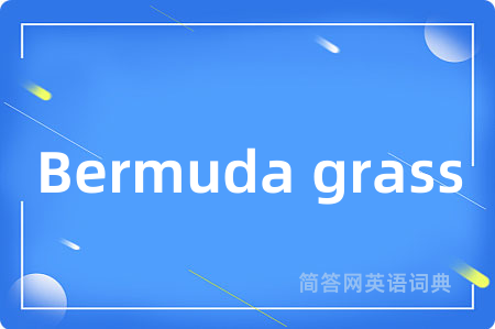 Bermuda grass