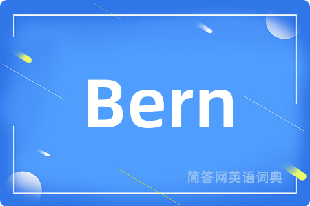 Bern是什么意思,Bern的中文翻译 Bern