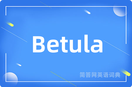 Betula是什么意思,Betula的中文翻译 Betula
