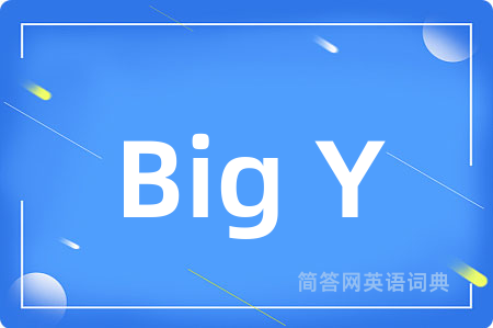 Big Y是什么意思,Big Y的中文翻译 Big Y