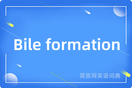 Bile formation