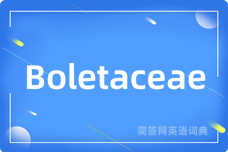 Boletaceae是什么意思,Boletaceae的中文翻译 Boletaceae
