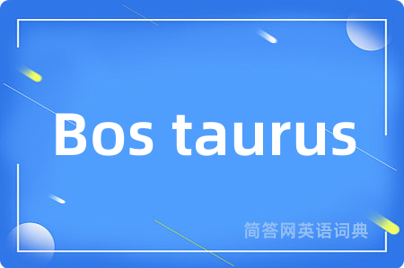 Bos taurus是什么意思,Bos taurus的中文翻译 Bos taurus