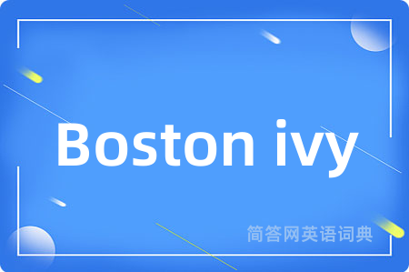 Boston ivy