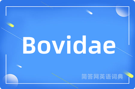 Bovidae