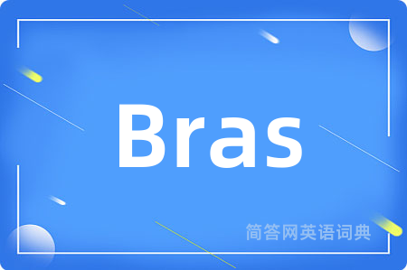 Bras是什么意思,Bras的中文翻译 Bras