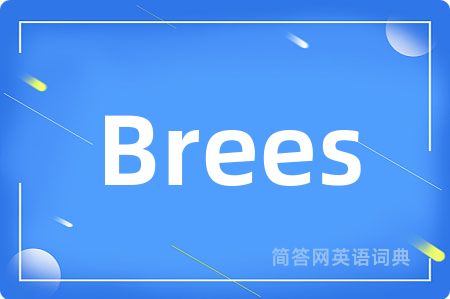 Brees是什么意思,Brees的中文翻译 Brees