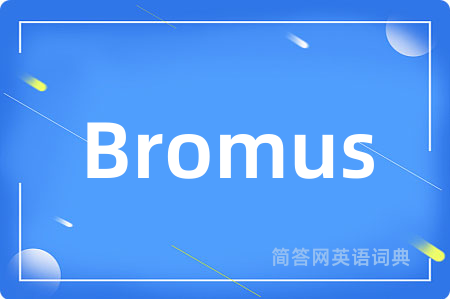 Bromus是什么意思,Bromus的中文翻译 Bromus