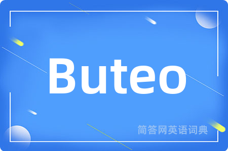 Buteo
