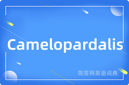 Camelopardalis