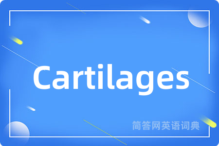 Cartilages是什么意思,Cartilages的中文翻译 Cartilages