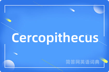 Cercopithecus