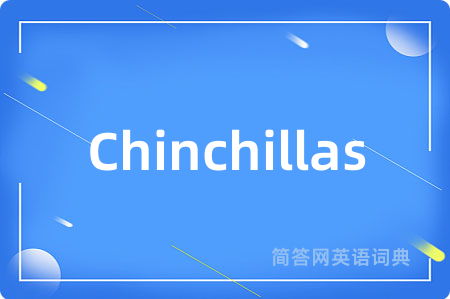 Chinchillas