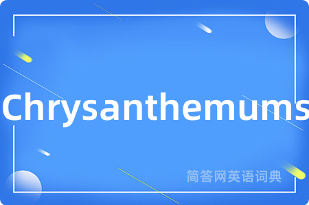 Chrysanthemums