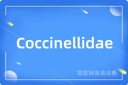 Coccinellidae