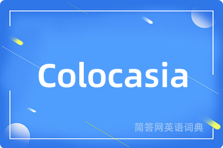 Colocasia