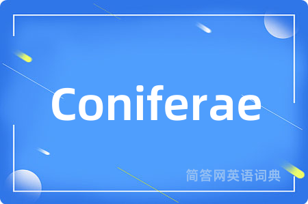 Coniferae