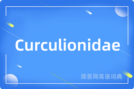 Curculionidae