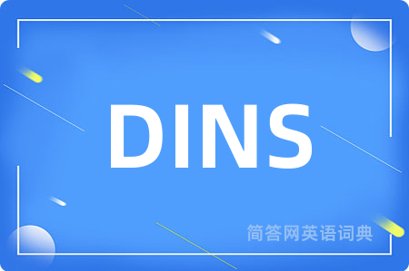 DINS是什么意思,DINS的中文翻译 DINS