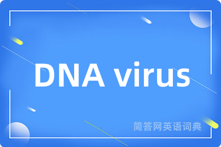 DNA virus