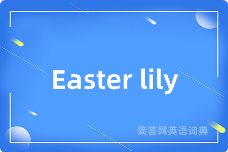 Easter lily