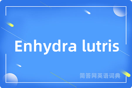 Enhydra lutris