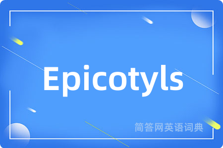 Epicotyls