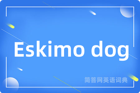 Eskimo dog