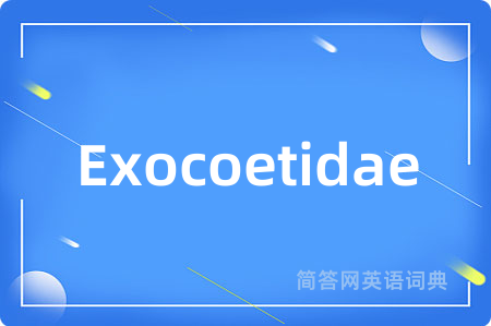 Exocoetidae