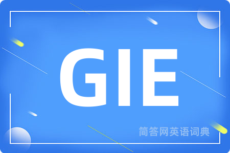GIE是什么意思,GIE的中文翻译 GIE