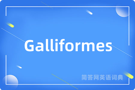 Galliformes