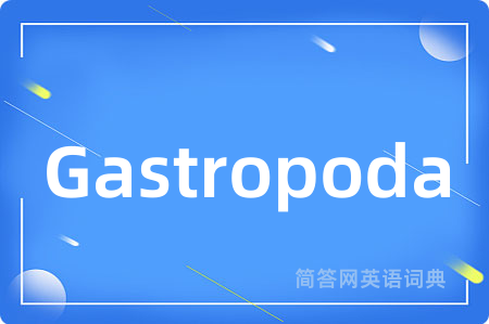 Gastropoda