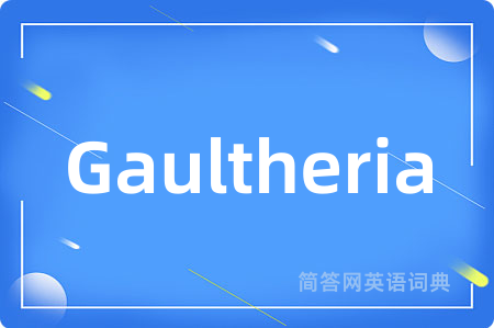 Gaultheria